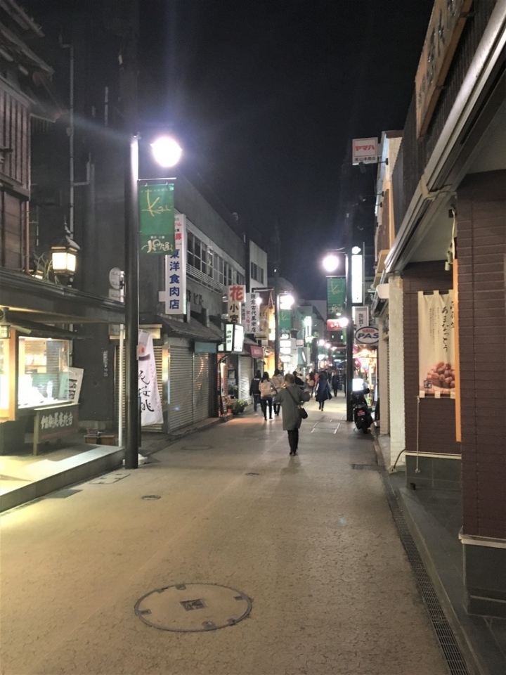 <日本>2017全家人的日本行DAY7~(PART II)湘南海岸鎌倉