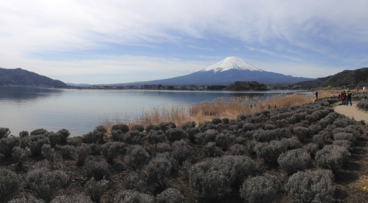 [日本富士山環山之旅]-山梨-河口湖北岸-欣賞富士山景點總整理