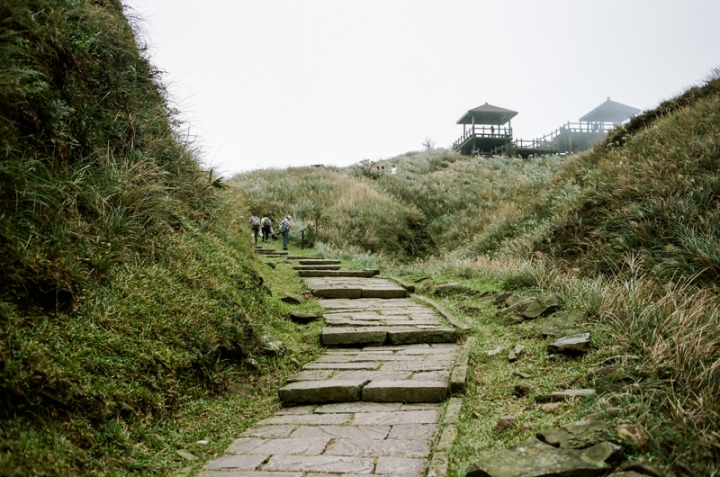 [亂拍照] 草嶺古道芒花季 (宜蘭大里-草嶺古道-埡口-桃源谷步道)