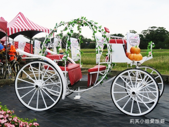 [旅遊] 2017 桃園花彩節萬坪花卉/玩偶公仔/免費小火車及旋轉木馬 (11/4~11/12)