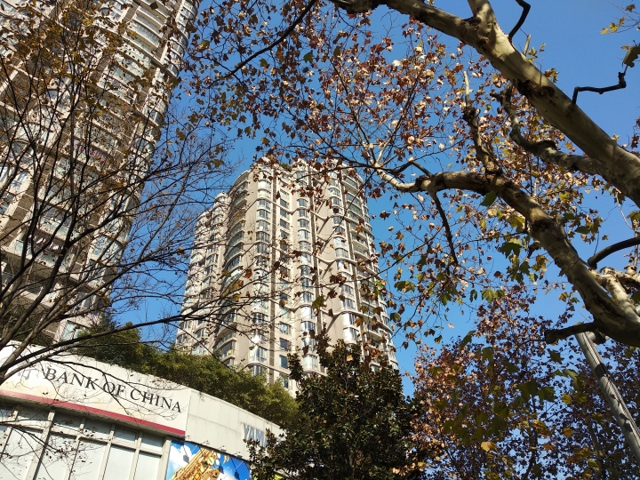 紅米 5 Plus 白天拍照