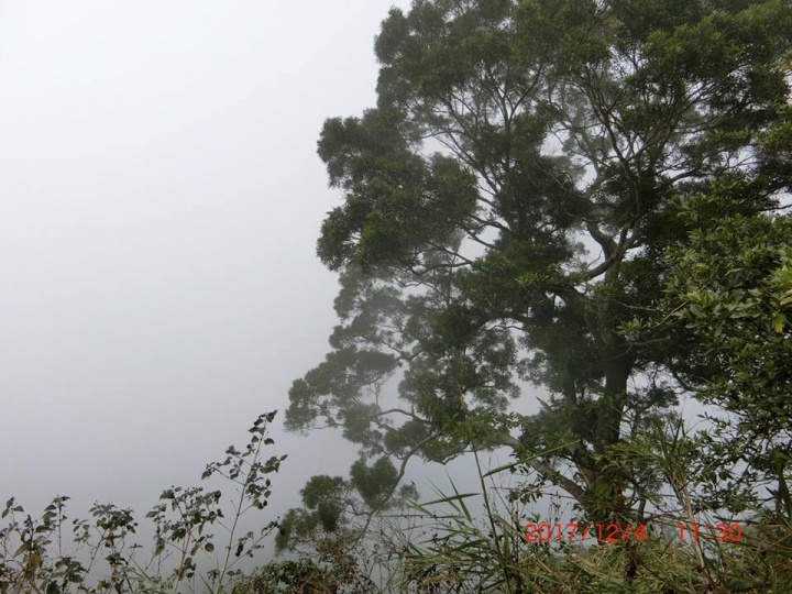 1061204 烏山 刣牛湖山(#70)登山健行
