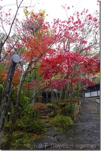 由布院【懶人包】必吃美食泡日歸溫泉看金鱗湖 [由布院行程] 一日遊