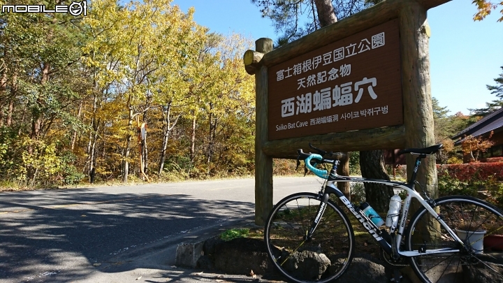 一生中有幾次可以說走就走的海外單車旅遊→富士五湖