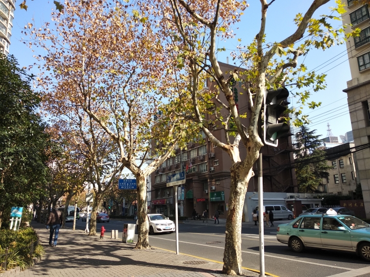 紅米 5 Plus 白天拍照