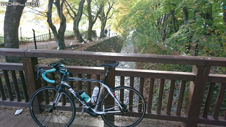 一生中有幾次可以說走就走的海外單車旅遊→富士五湖
