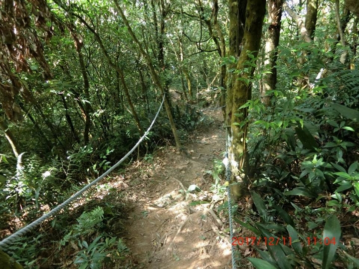 1061211 棚集山(#78)環線登山健行