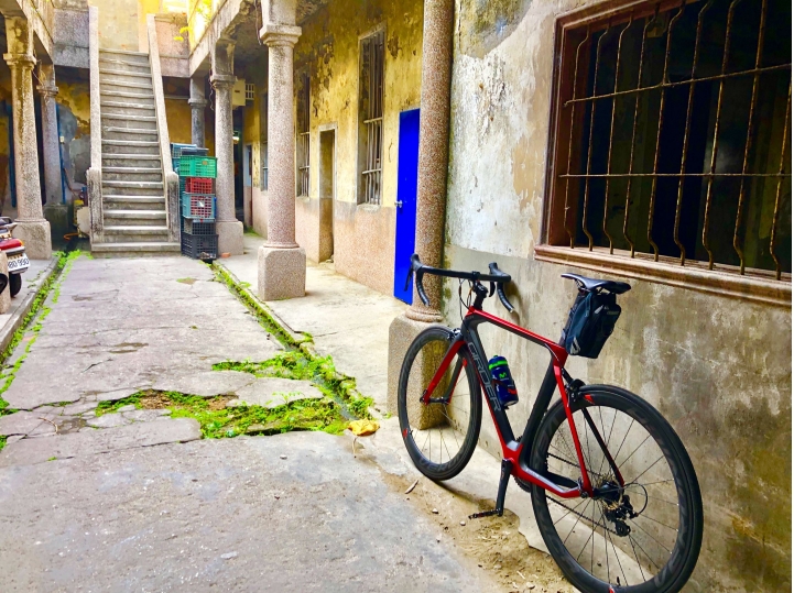 12/29忘憂清水一把青 屎在滾