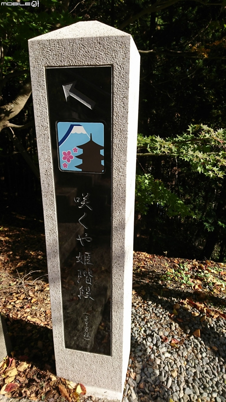 一生中有幾次可以說走就走的海外單車旅遊→富士五湖