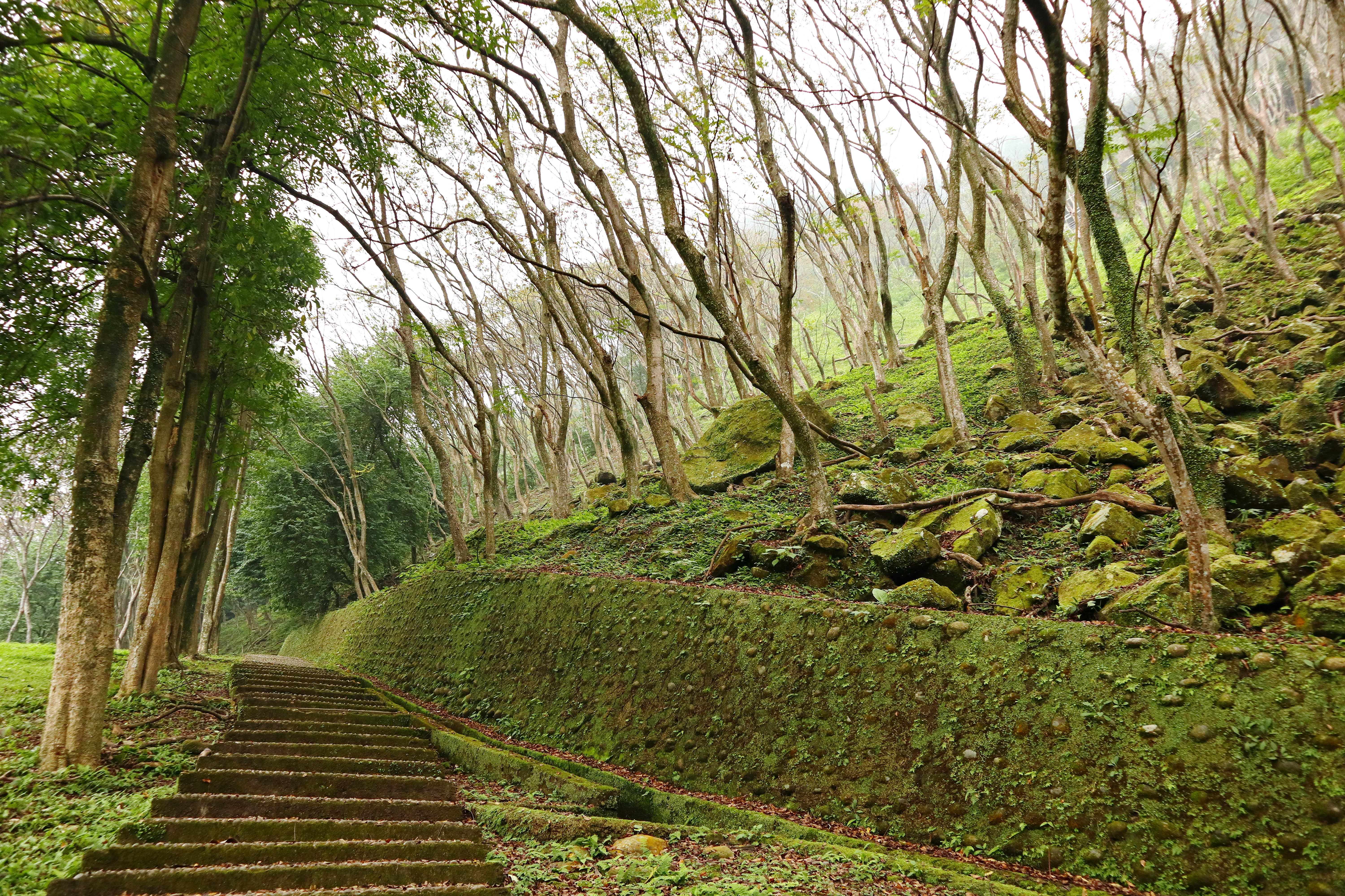 (映像分享)輕旅行、輕分享 feat. Canon EOS M100 、 Selphy CP1300 & Gogoro 1 Series