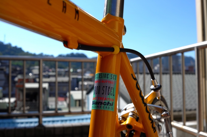Bianchi Mega Pro XL Boron 緬懷爬坡之神Marco Pantani