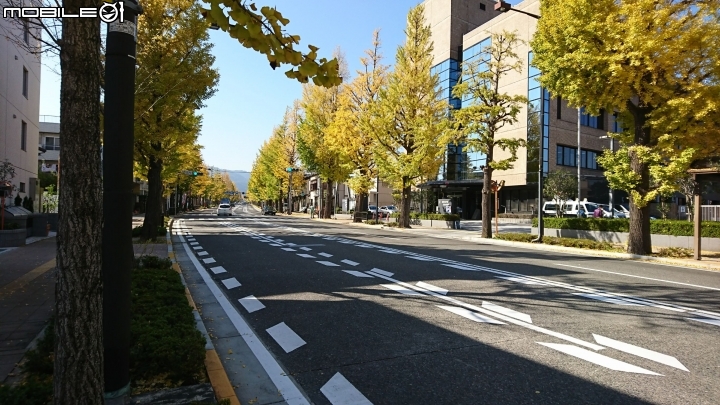 一生中有幾次可以說走就走的海外單車旅遊→富士五湖