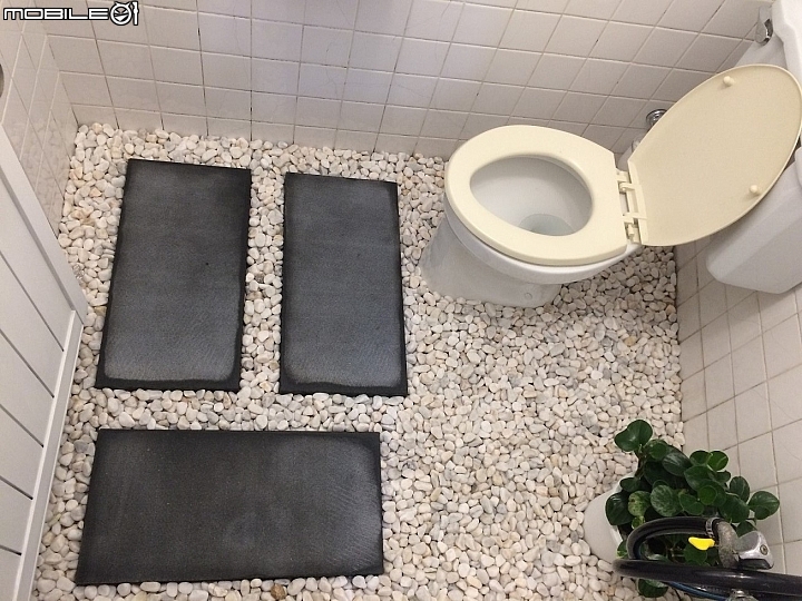 老廁所DIY改裝，放個盆栽算不算園藝？