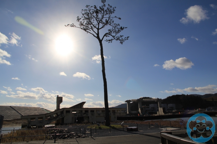 [遊記] 奇跡の一本松＆重建中的南三陸町志津川
