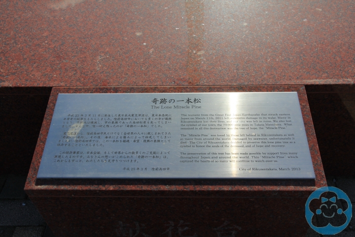 [遊記] 奇跡の一本松＆重建中的南三陸町志津川