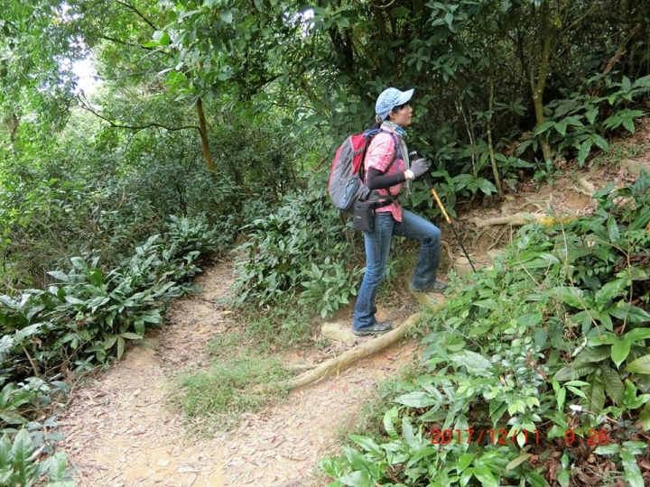 1061211 棚集山(#78)環線登山健行