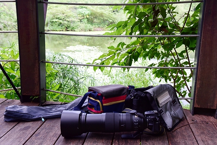 Nikon 600mm F4E手持5公斤拍攝的開箱文(特別北上新店灣潭拍魚鷹)