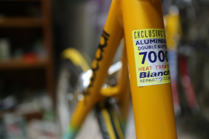 Bianchi Mega Pro XL Boron 緬懷爬坡之神Marco Pantani