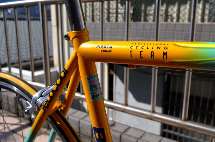 Bianchi Mega Pro XL Boron 緬懷爬坡之神Marco Pantani