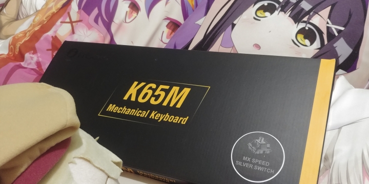 很抱歉不是色色的飾板 只是個K65MS 銀軸開箱