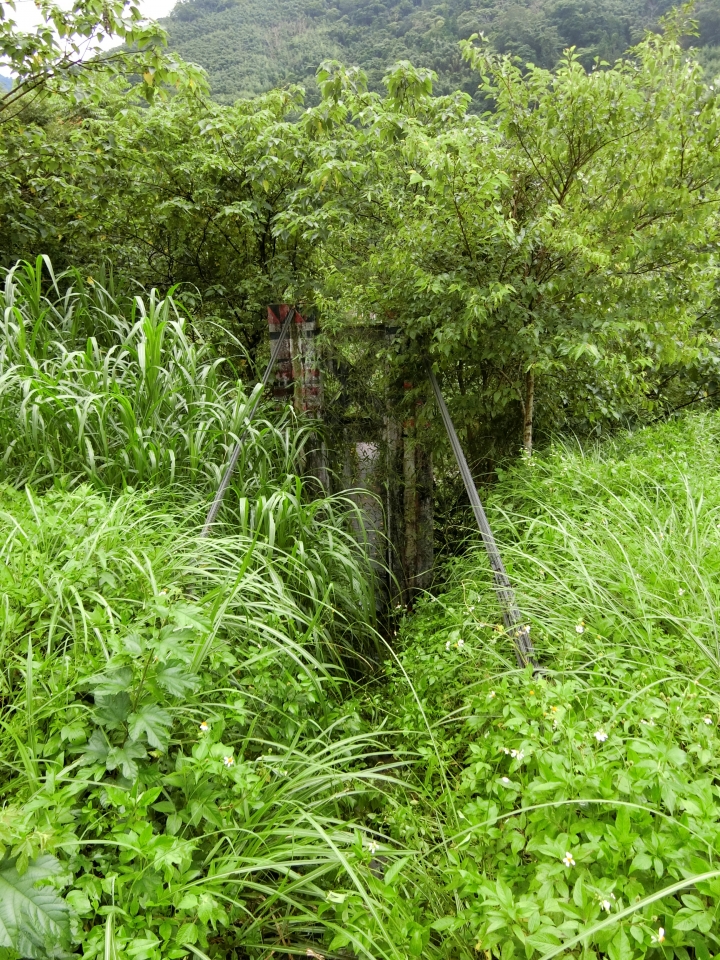 玉峰道路（桃113線～竹60-1線）