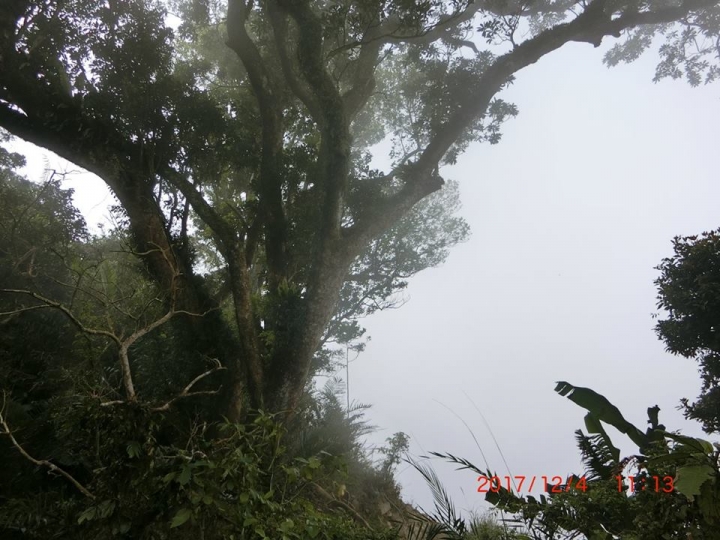 1061204 烏山 刣牛湖山(#70)登山健行