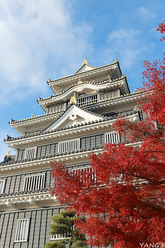 持JR山陽&山陰&北部九州地區鐵路周遊券,7日間走訪日本6縣(圖多)