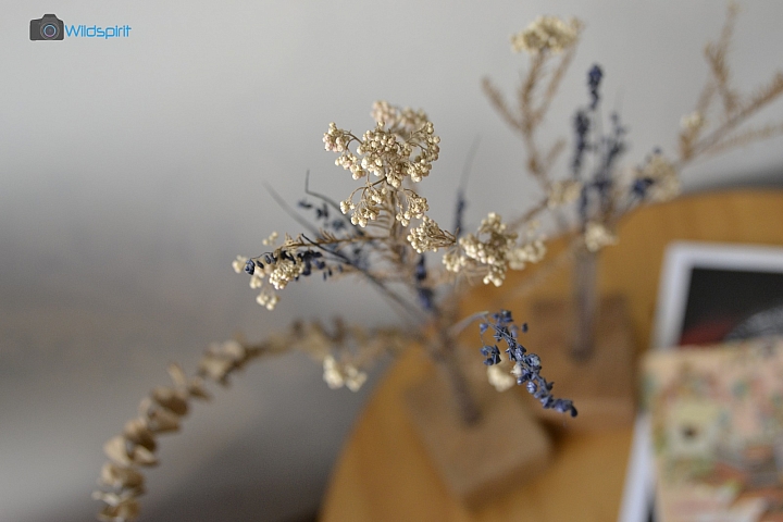 TAMRON 試鏡會【B028 18-400mm f/3.5-6.3】&【A032 24-70mm f/2.8】