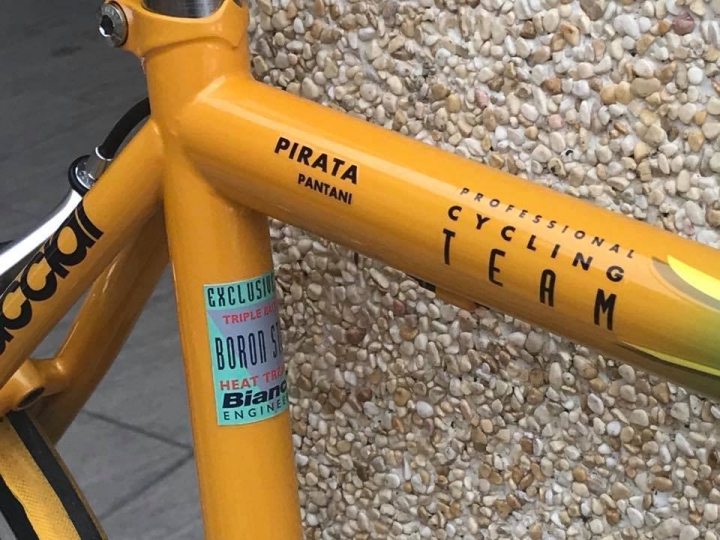 Bianchi Mega Pro XL Boron 緬懷爬坡之神Marco Pantani