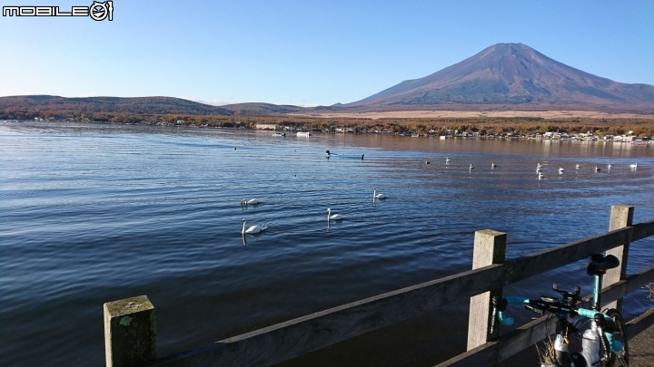 一生中有幾次可以說走就走的海外單車旅遊→富士五湖