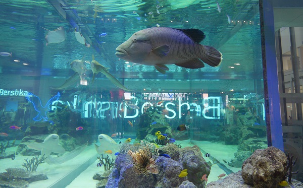 [遊記] 沖繩5日家族親子旅 暑假每人一萬六有找懶人包(下)