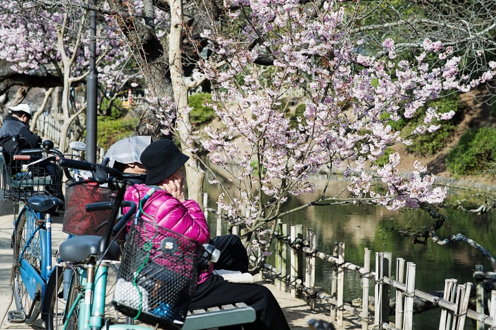 2017 年終回顧 Fujifilm X-T2  [ 少部分NIKON ] 圖多