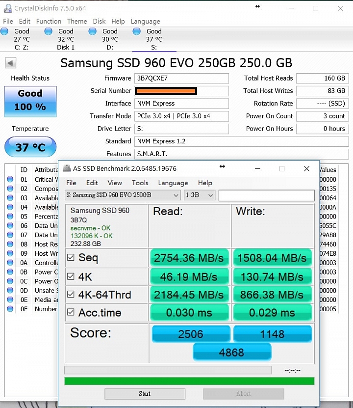 Samsung 960 EVO 250 GB m.2 nvme pcie ssd 散熱片 DIY  實作