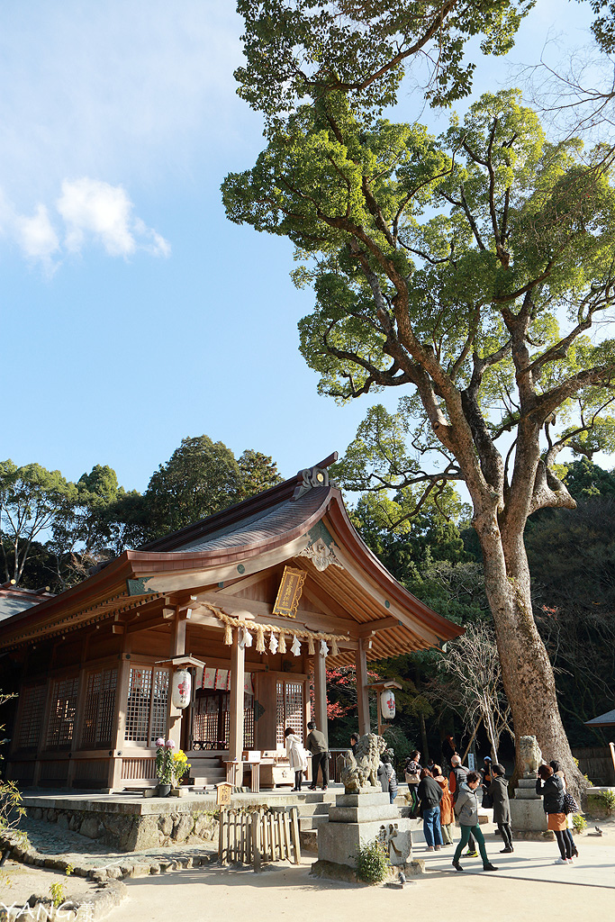 持JR山陽&山陰&北部九州地區鐵路周遊券,7日間走訪日本6縣(圖多)