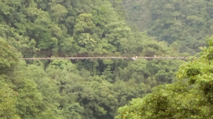玉峰道路（桃113線～竹60-1線）