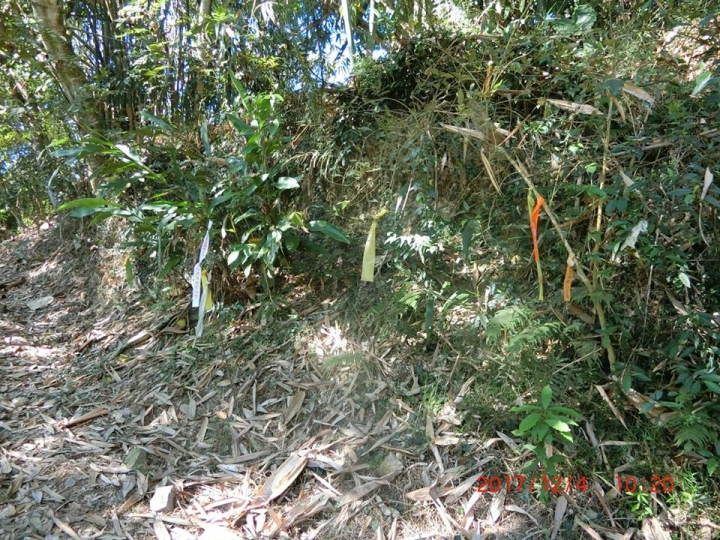 1061204 烏山 刣牛湖山(#70)登山健行