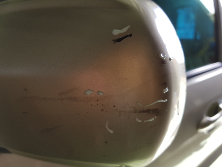 [實測] 車漆傷痕修補神器!? 真的這麼神奇嗎~~
