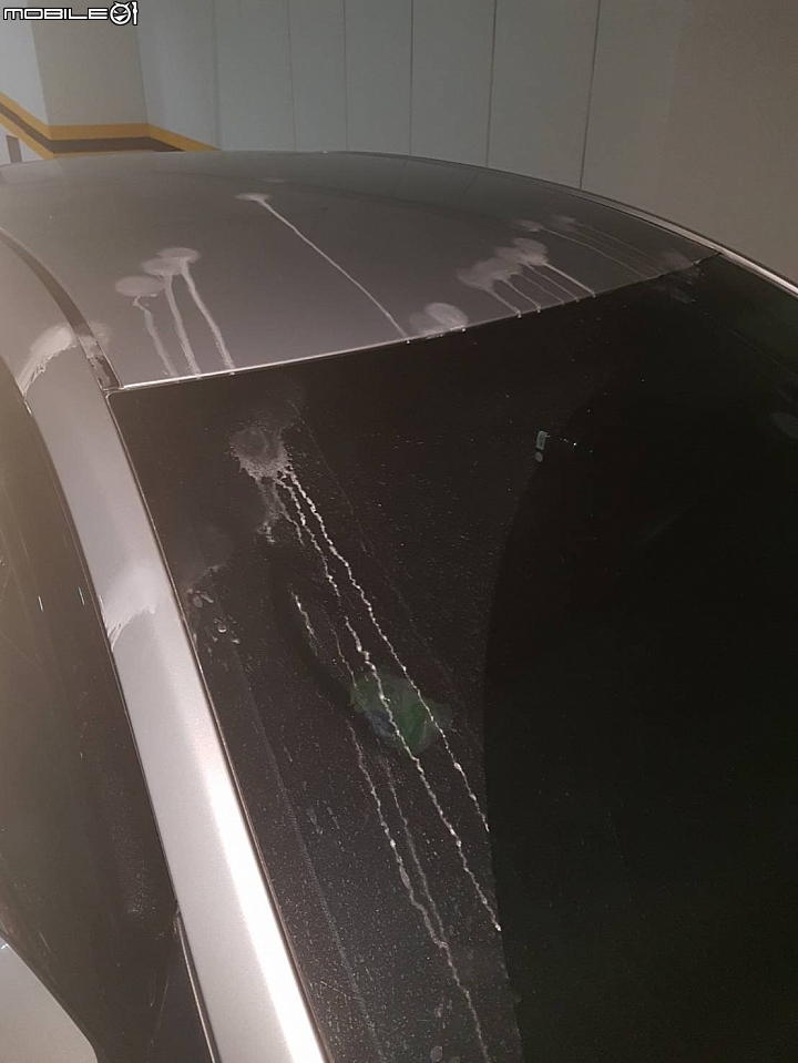 求救~車子遭到強鹼滴蝕