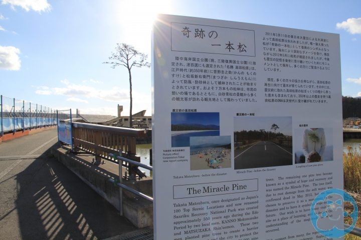 [遊記] 奇跡の一本松＆重建中的南三陸町志津川
