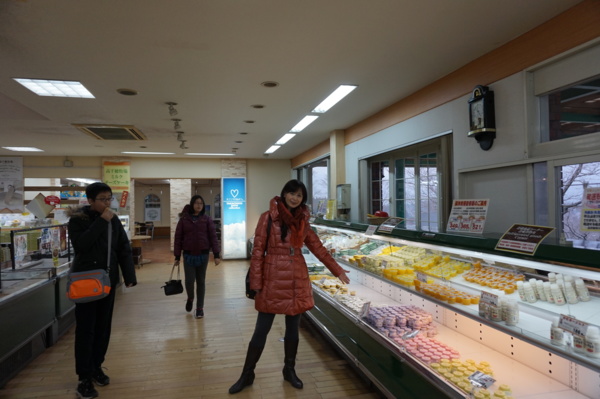 南九州親子遊:高千穗牧場,霧島神宮很準愛情籤