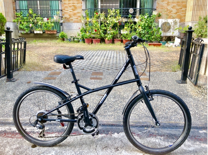 aibike 消光黑小徑車 開箱秀