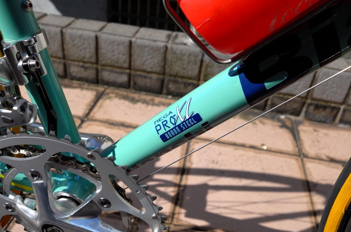 Bianchi Mega Pro XL Boron 緬懷爬坡之神Marco Pantani