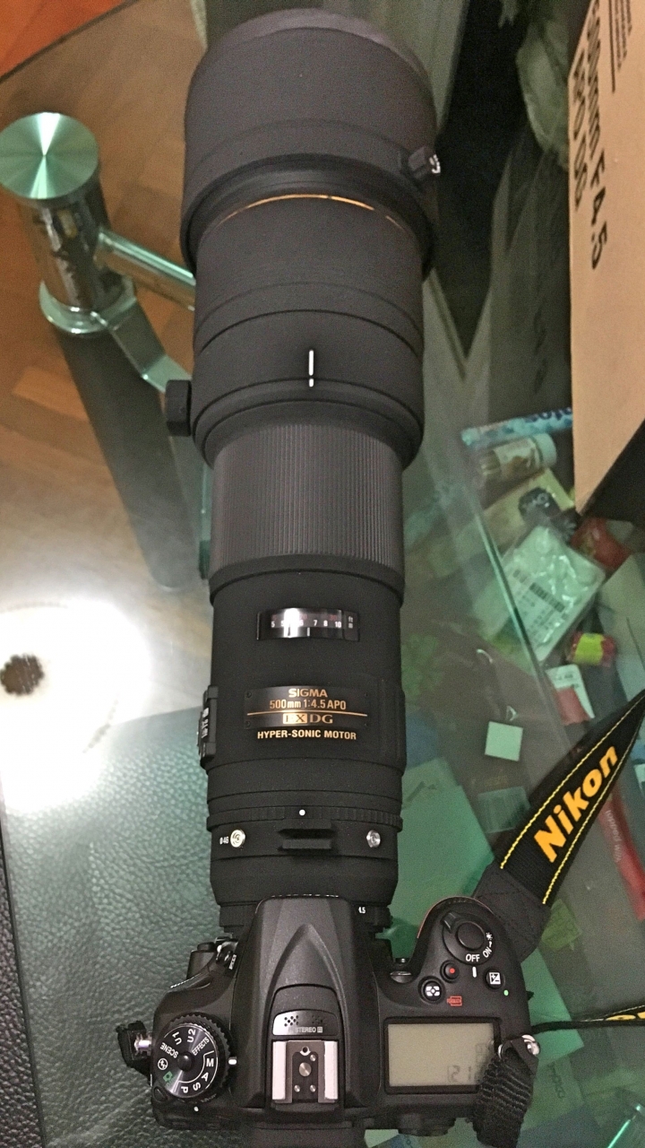 分享我的第一支定焦大砲Sigma APO 500mm F4.5 EX DG HSM 含實拍樣本