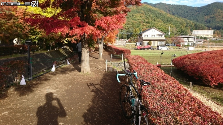 一生中有幾次可以說走就走的海外單車旅遊→富士五湖