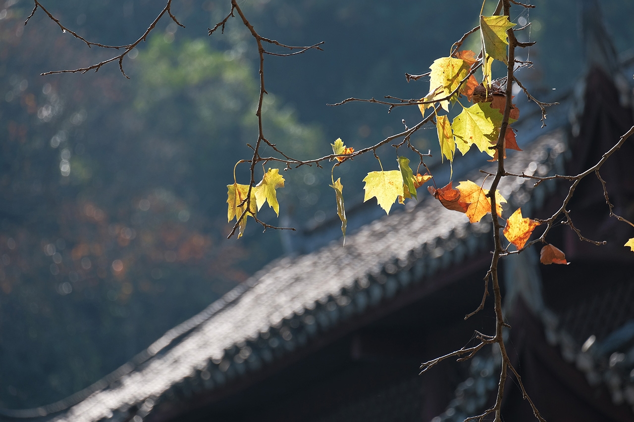 [X-E3] 一個半月使用感想 + 鳳凰古城 & 巫山紅葉 遊記