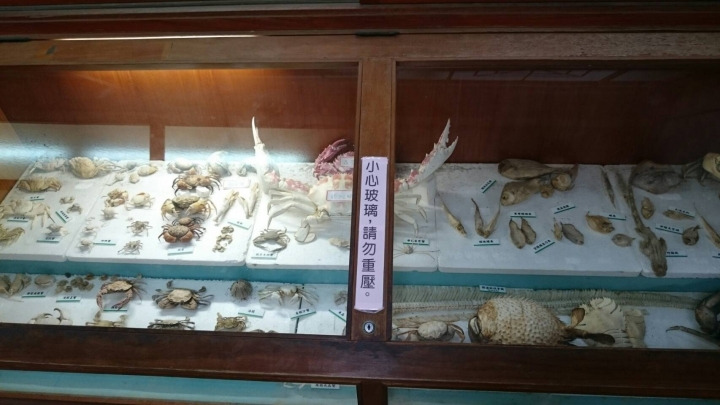 我和愛人的台南二天一夜之旅(20171119-20)