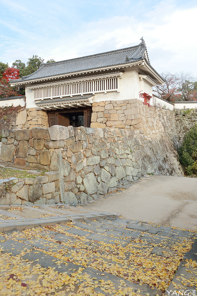 持JR山陽&山陰&北部九州地區鐵路周遊券,7日間走訪日本6縣(圖多)