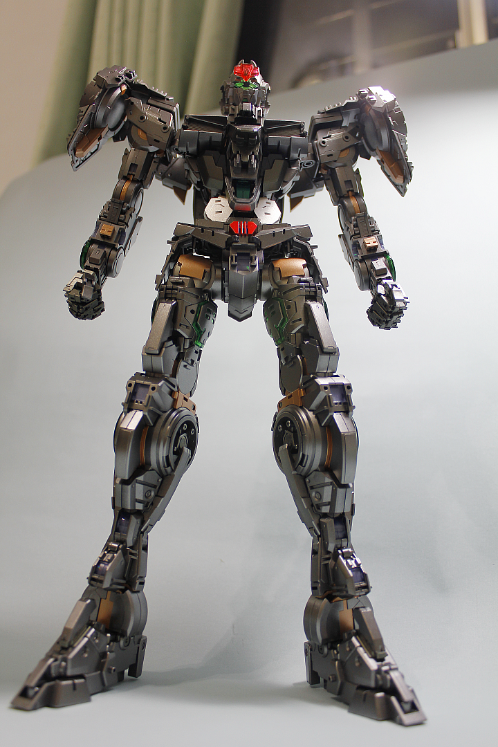 作品分享~PG OO Raiser