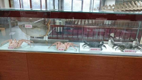 我和愛人的台南二天一夜之旅(20171119-20)