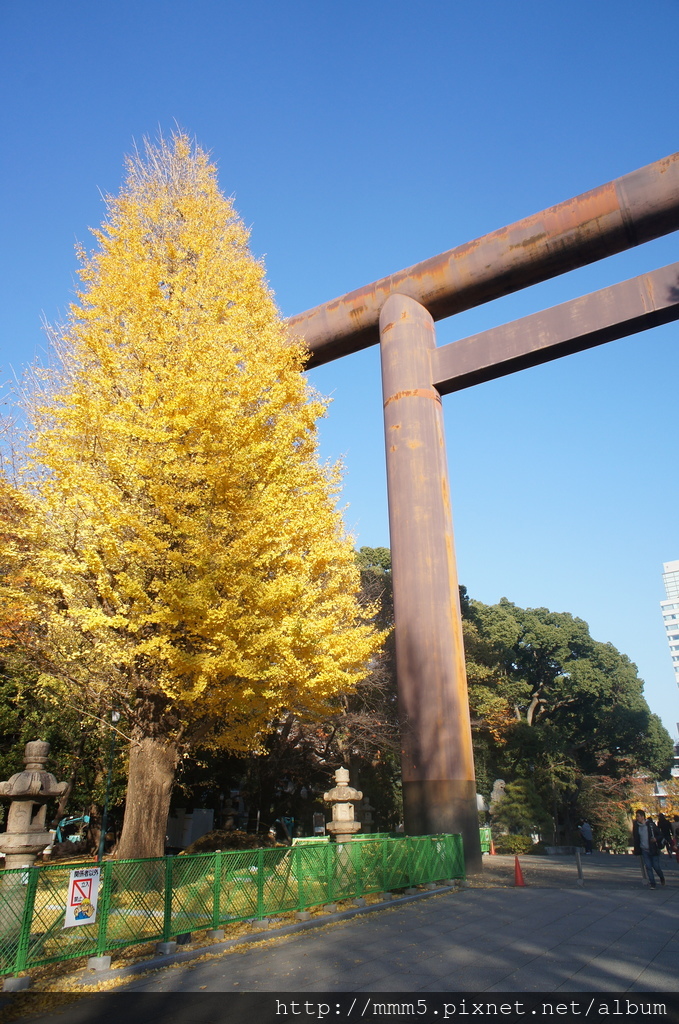 【玩】日本 東京/九段下 靖國神社2017銀杏景點